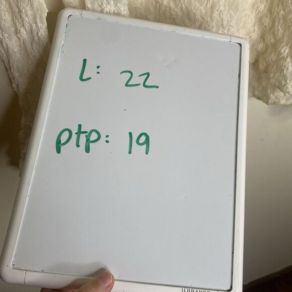 Hand Jive Cream Sheer Ruffle Textured Retro Style Lace Blouse Top Size Small - Picture 12 of 12